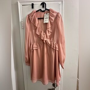 Brand New with tag Zara Blush Pink Top Dress